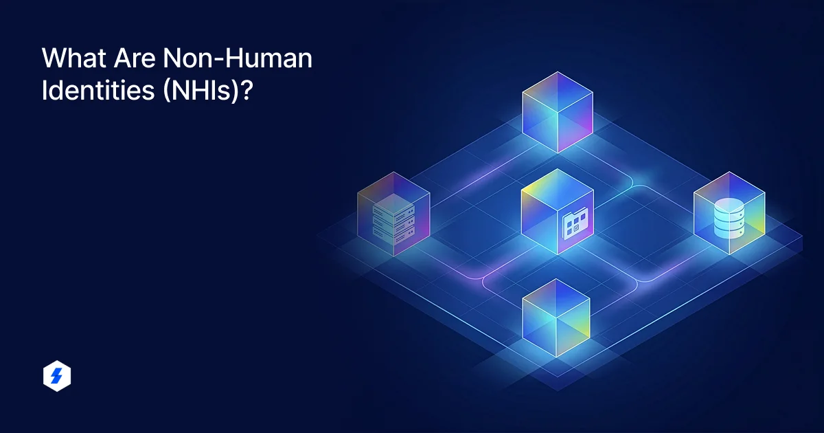 Overview of non-human identities in modern digital systems